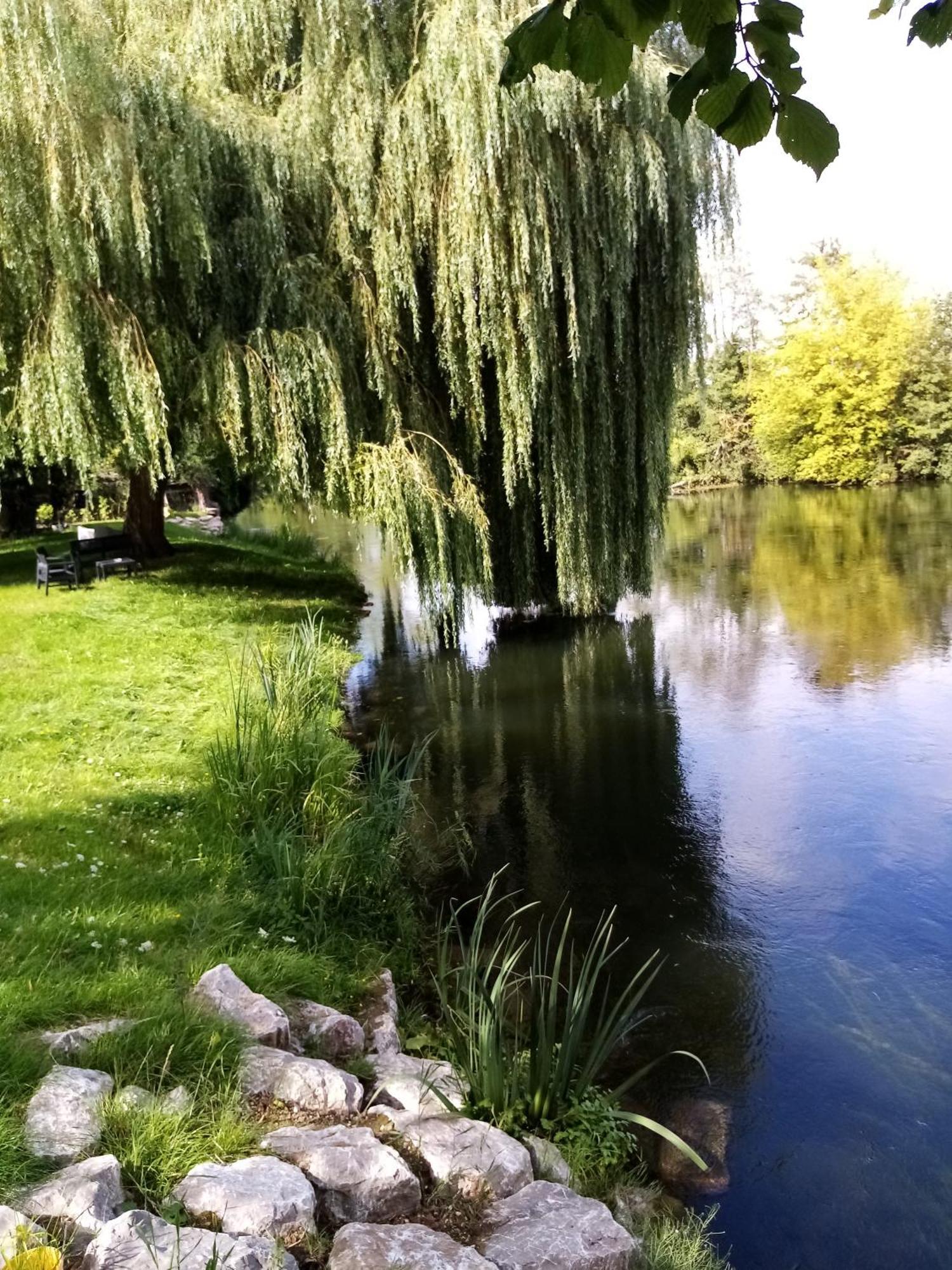 Havre De Paix Au Bords De L'Eure - Divers Hebergements Garennes-sur-Eure Zewnętrze zdjęcie